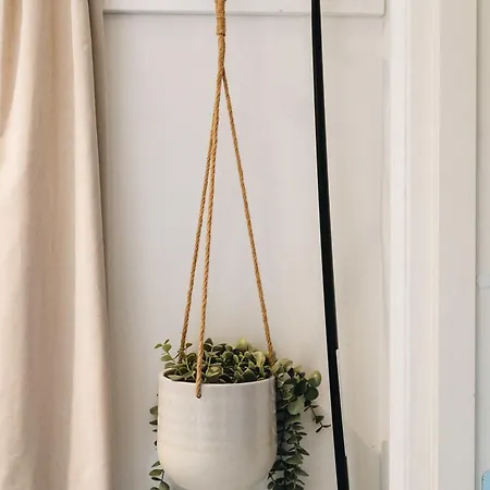 Apartment Dinbnb Homes L Bispengsgaten 500 M To Bryggen Bergen